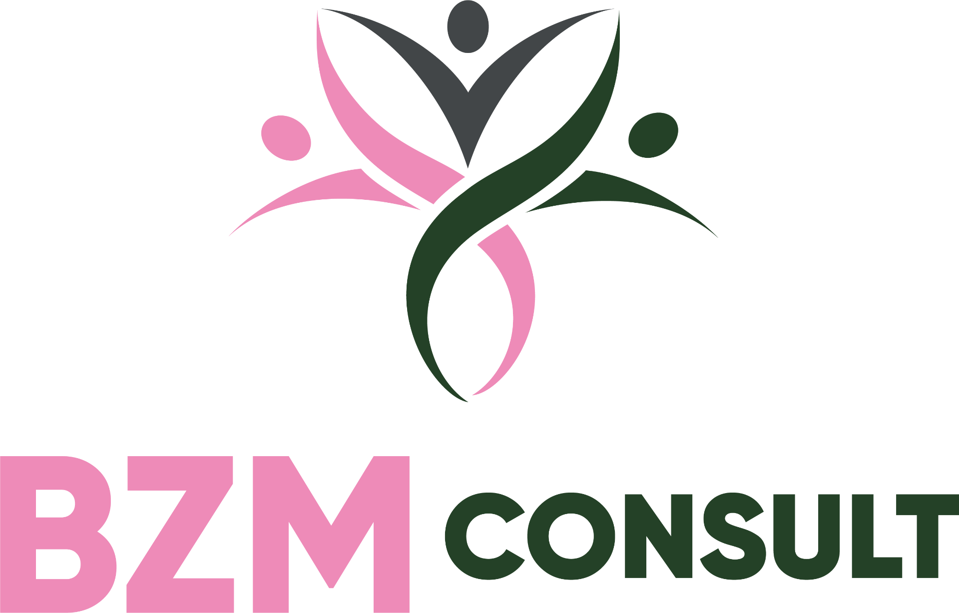 BZM Consult logo